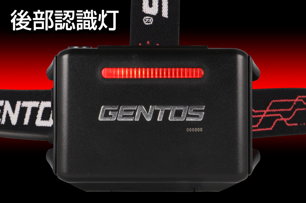 GH-300RG