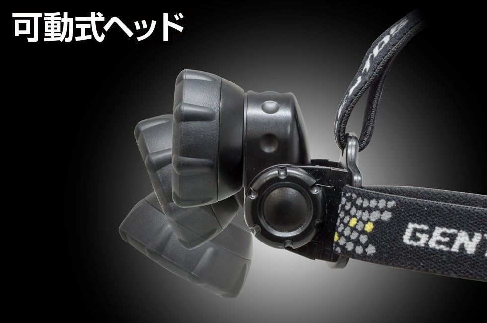 GTR-S31D