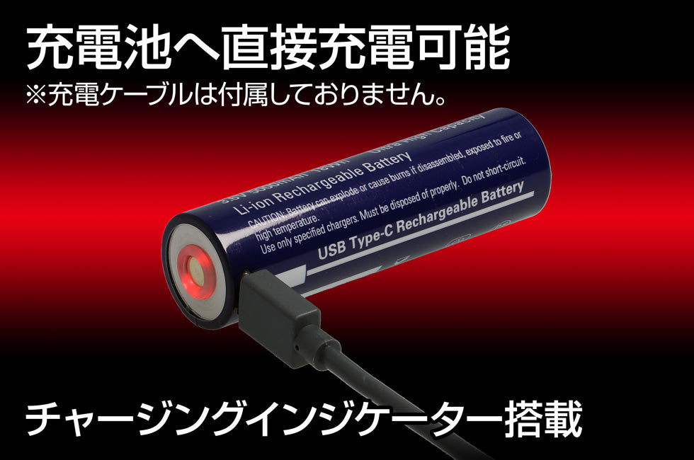 専用充電池 GZ-23SB