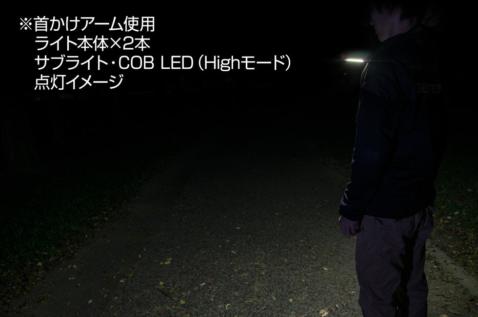 OZ-R2X