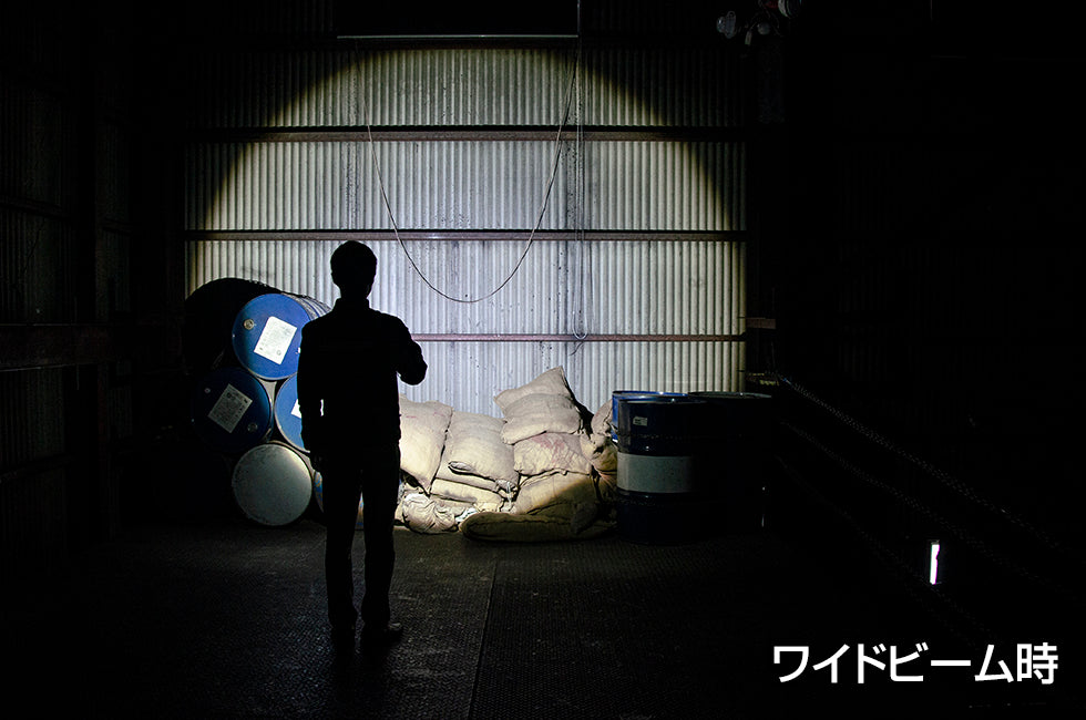 RX-022DS