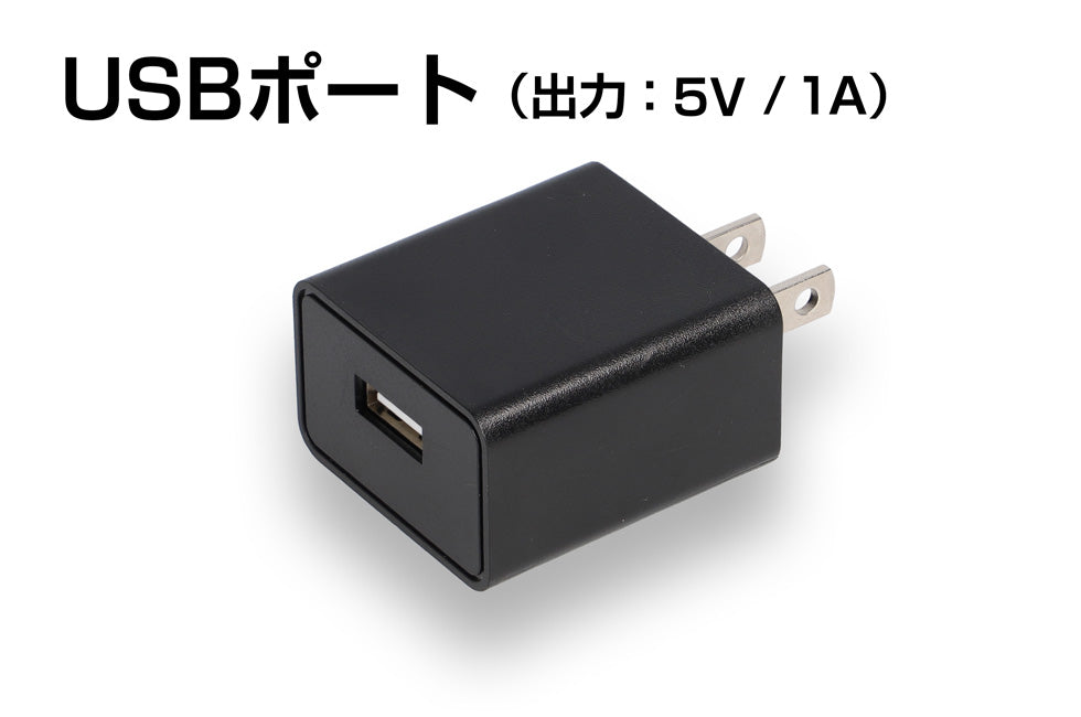 充電式製品用 USB ACアダプター AD-029FV-3