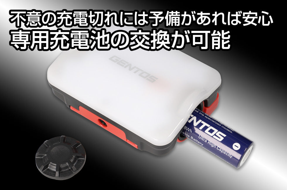 New! GZ-307