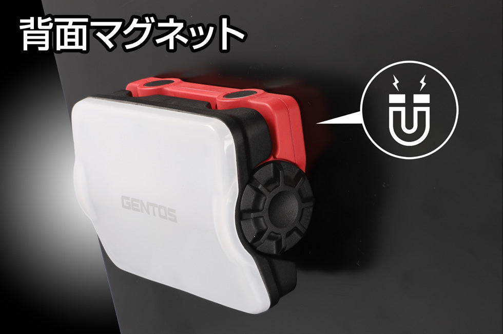 New! GZ-307