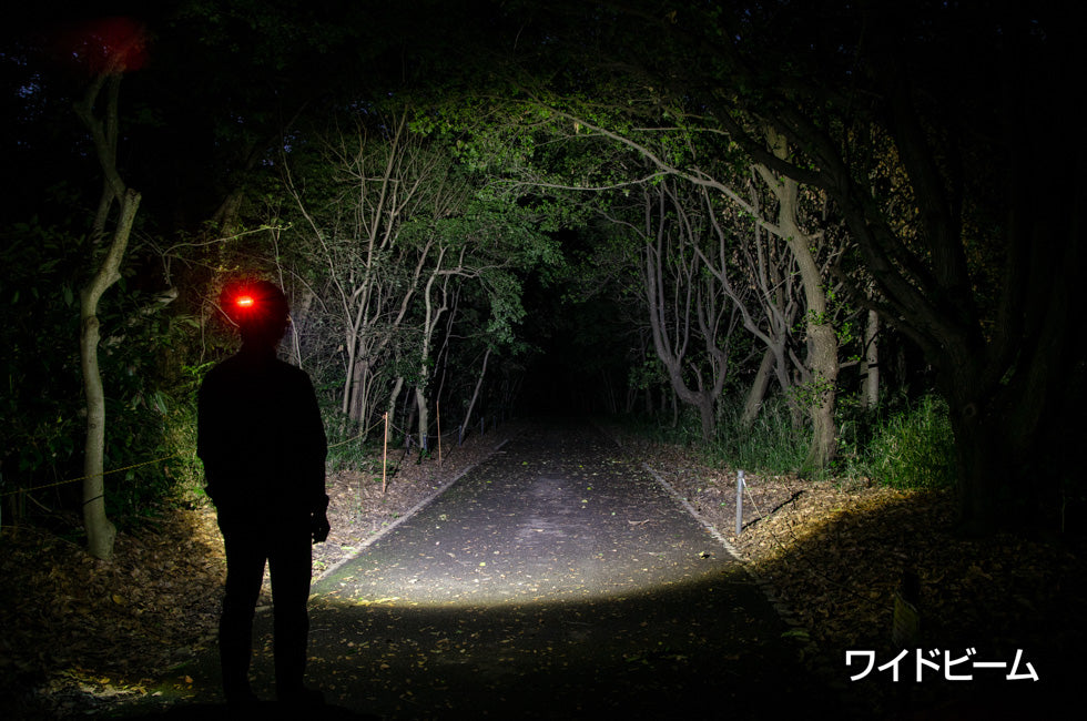 New !  LIBERTY3 LY-FOM3